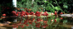 Zoo